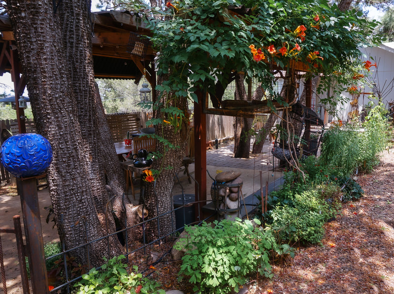 a shaded gazebo with climbing vines and lush plantings