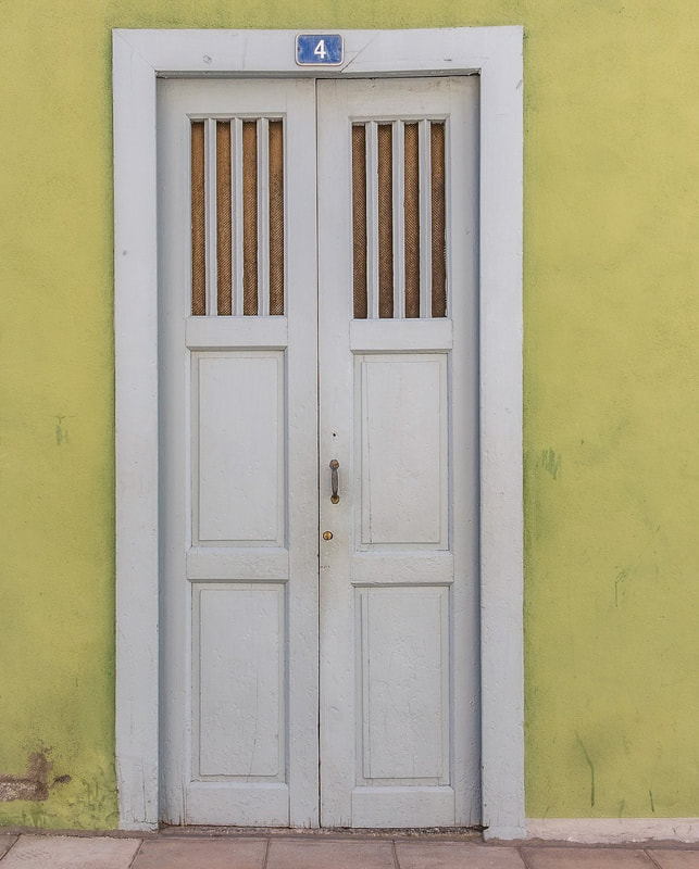 unique narrow french doors