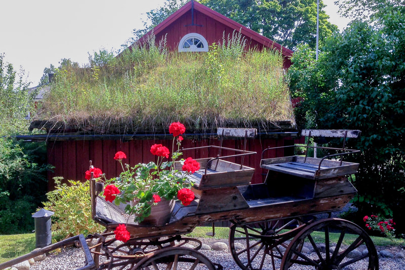 One pot of geraniums dresses up a country scene in Sweden