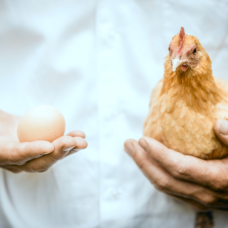 The process dilemma:  which comes first?  Chicken or the egg?