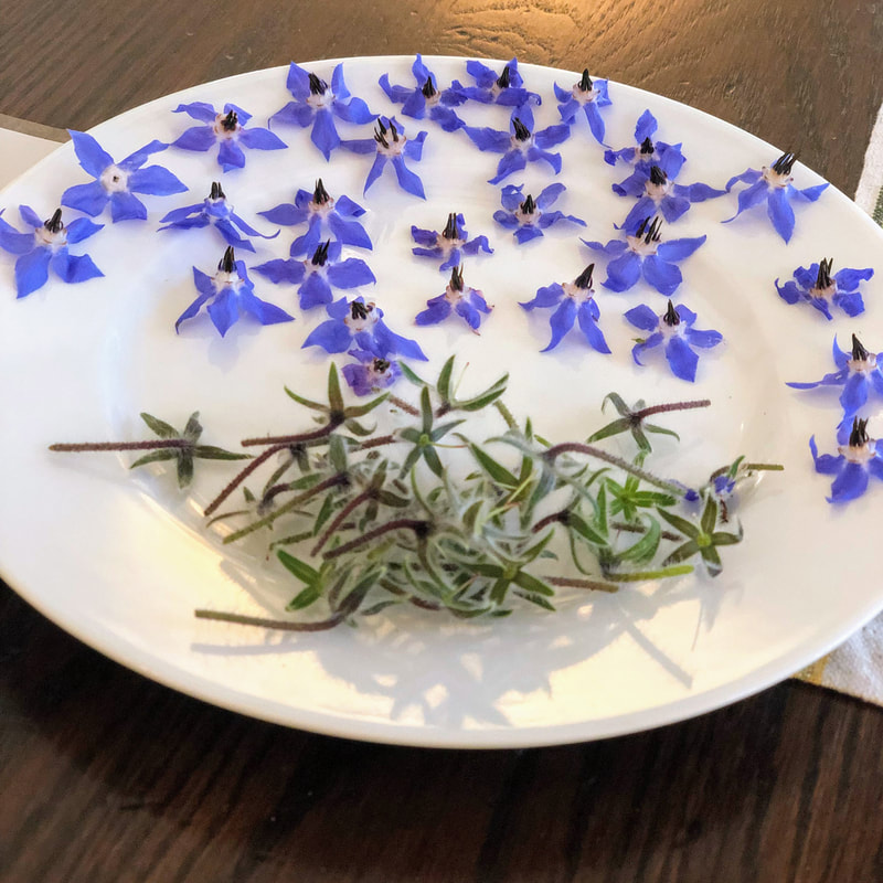 Borage flowers on a plate