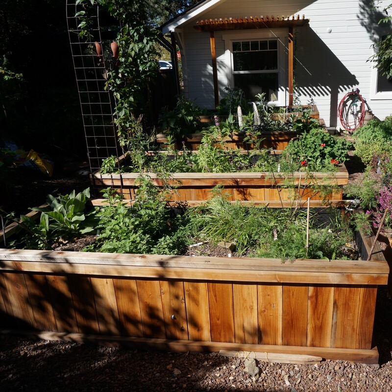 Raised garden beds, shortly before before first frost