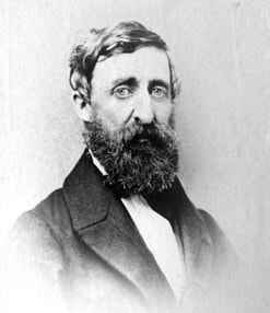 Henry David Thoreau late in his life