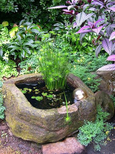 a water garden in a hypertufa container