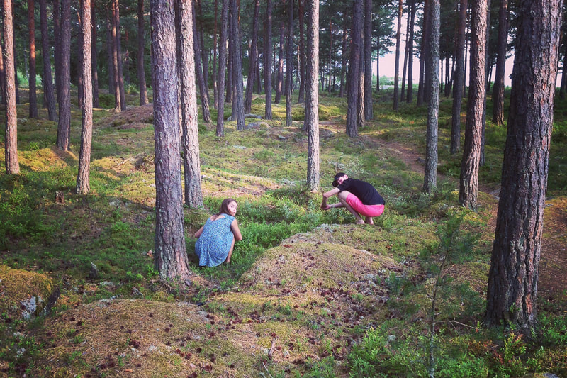 Picking wild strawberries in the back yard behind the lake summer house in Sweden