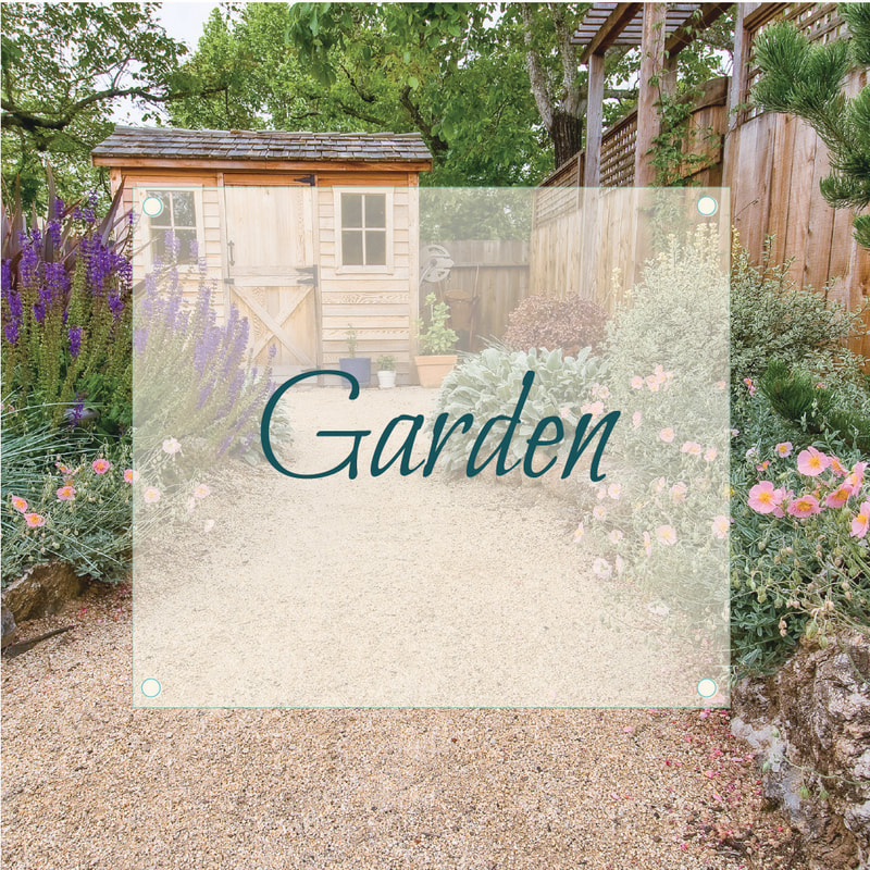 an inviting cottage style garden with a small shed